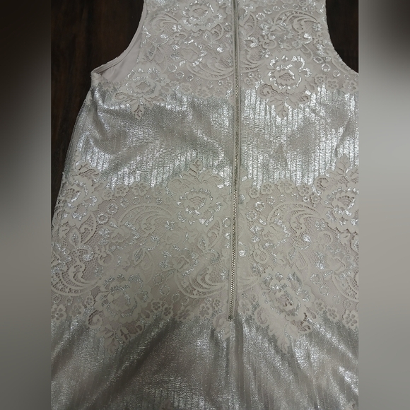 Oasis Metallic‎ Lace Chemise - Picture 6 of 10